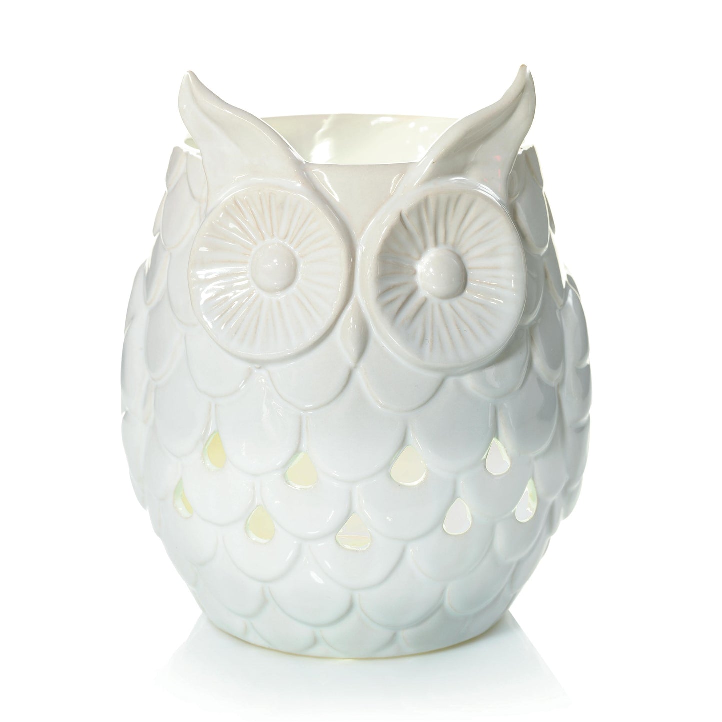 Owl UA8L