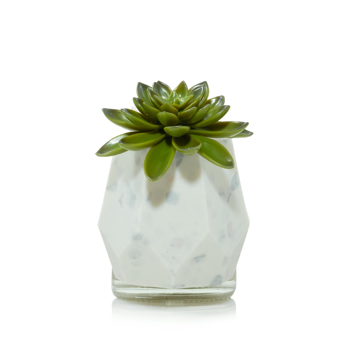 Faceted Succulent ScentPlug® Diffuser with Light A2B2