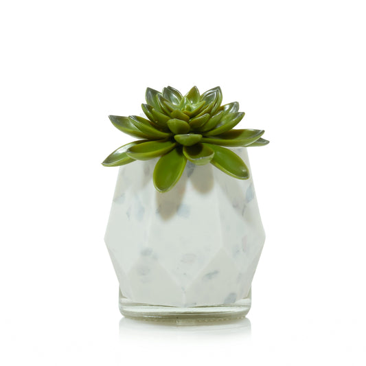Faceted Succulent ScentPlug® Diffuser with Light A2B2